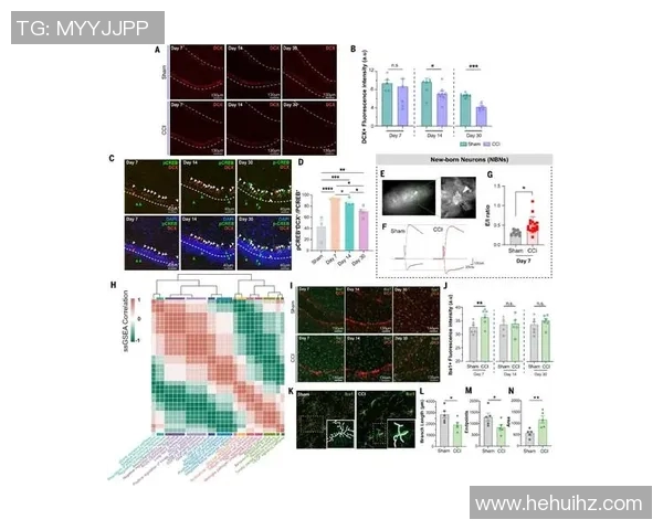 数据模型预测保罗胜率究竟如何科学分析揭示背后答案
